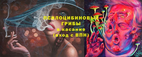 MDMA Premium VHQ Каменногорск