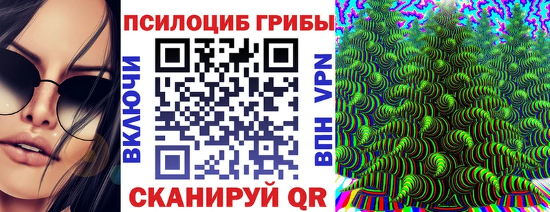 Купить закладки  Балтийск  Галлюциногенные грибы прущие грибы 